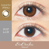 EverColor 1 Day 1 Day Color Contact lenses Natural Champagne Brown (20 Pack)